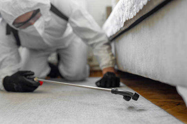 Professional Bed Bug Control technician working in Berkshire County County, MA